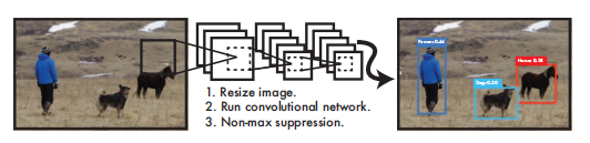 图2 YOLO检测系统