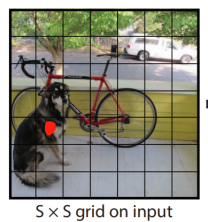 图3 S×S网格单元