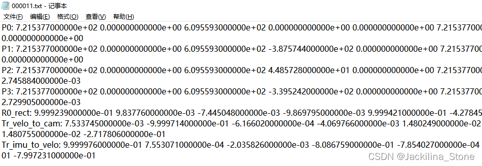 watermark,type_d3F5LXplbmhlaQ,shadow_50,text_Q1NETiBASmFja2lsaW5hX1N0b25l,size_20,color_FFFFFF,t_70,g_se,x_16